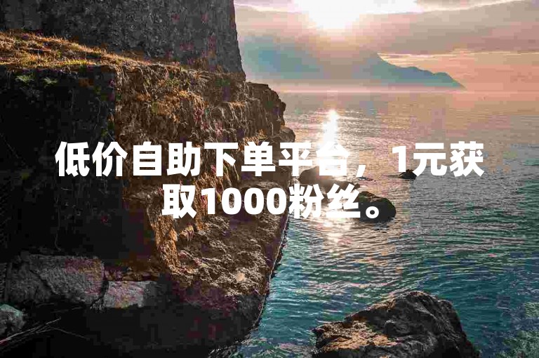 低价自助下单平台，1元获取1000粉丝。