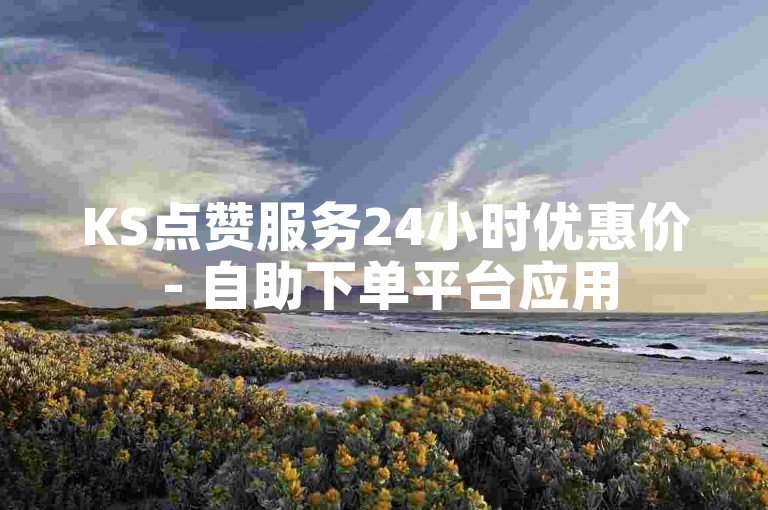 KS点赞服务24小时优惠价 - 自助下单平台应用