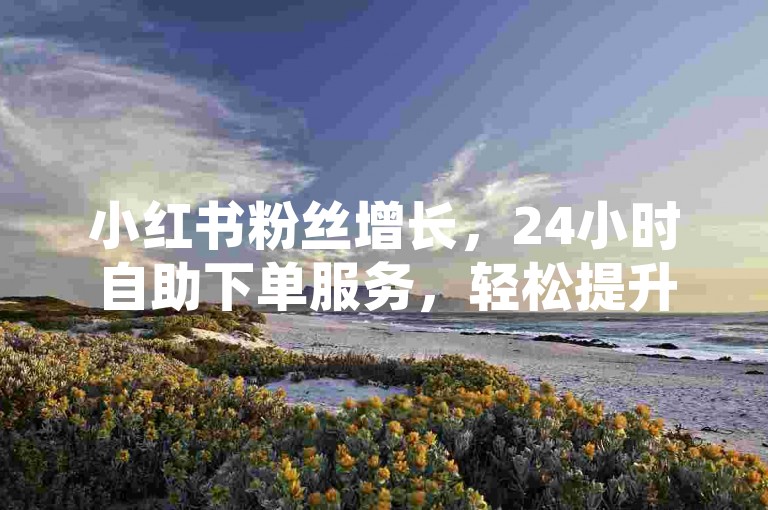 小红书粉丝增长，24小时自助下单服务，轻松提升影响力。