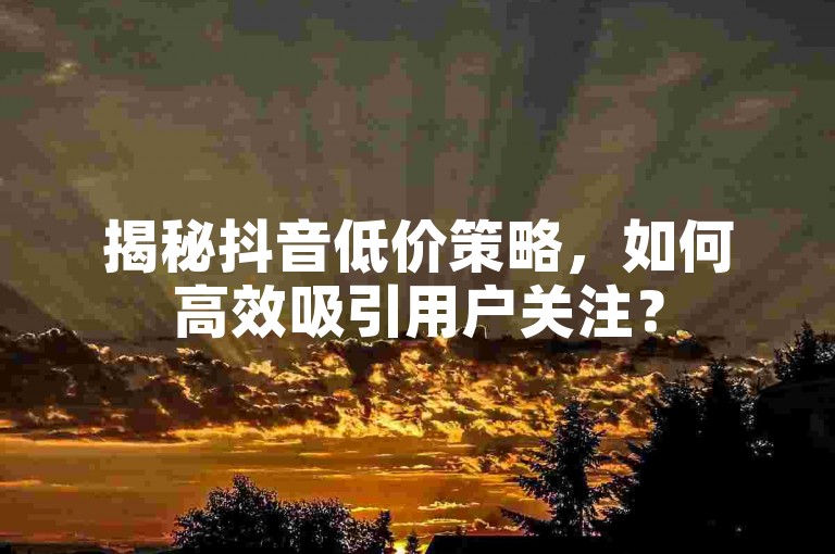 揭秘抖音低价策略，如何高效吸引用户关注？