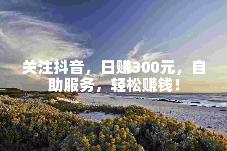 关注抖音，日赚300元，自助服务，轻松赚钱！