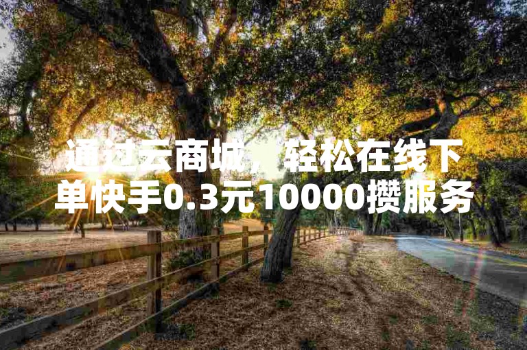 通过云商城，轻松在线下单快手0.3元10000攒服务。