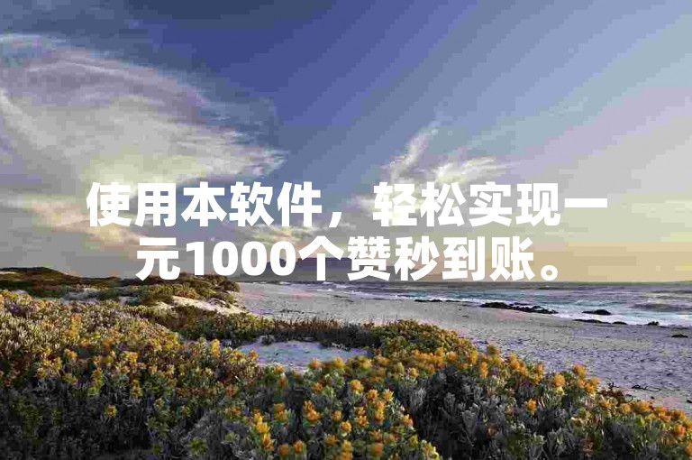 使用本软件，轻松实现一元1000个赞秒到账。