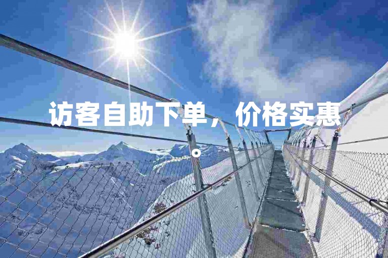 访客自助下单，价格实惠。