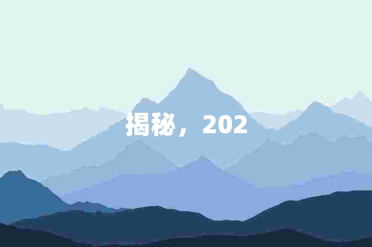 揭秘，2025必备网站流量提升工具！