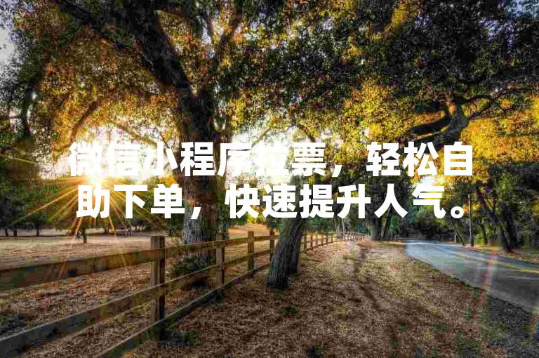 微信小程序拉票，轻松自助下单，快速提升人气。