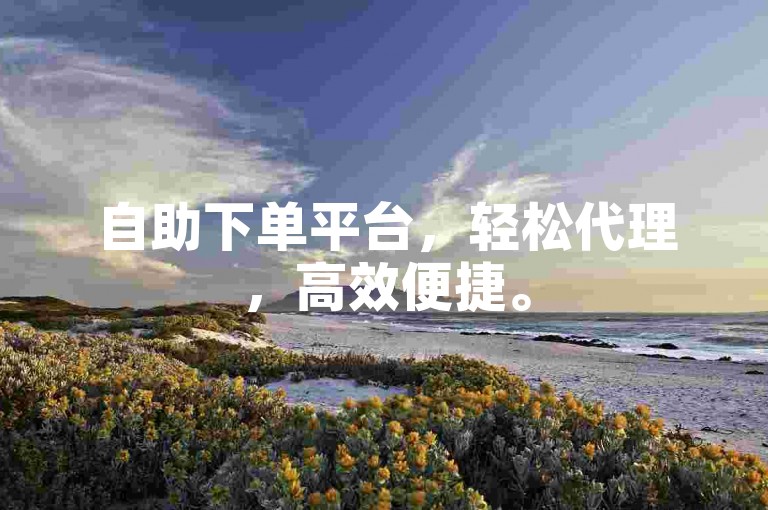 自助下单平台，轻松代理，高效便捷。