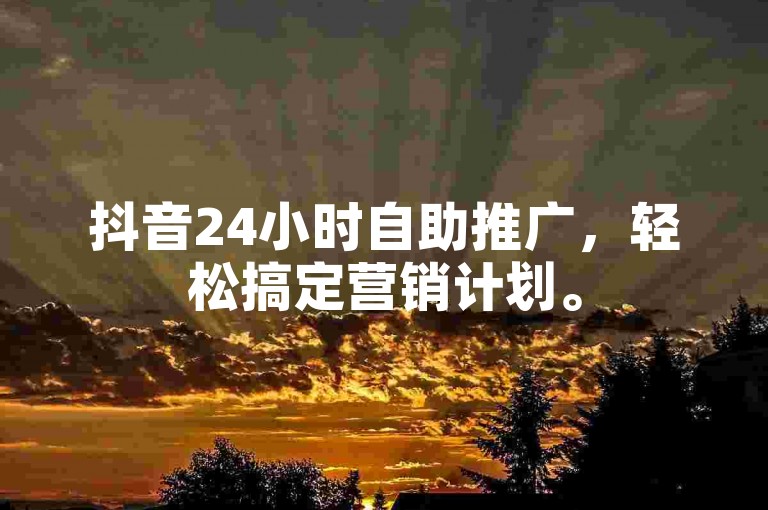 抖音24小时自助推广，轻松搞定营销计划。