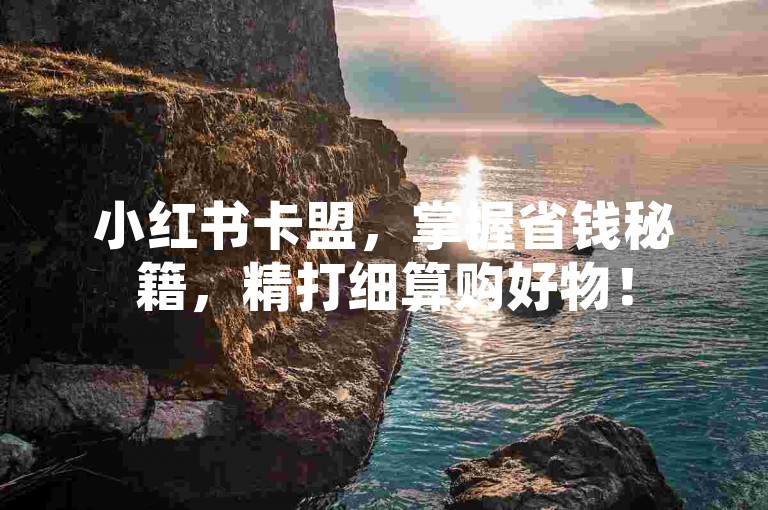 小红书卡盟，掌握省钱秘籍，精打细算购好物！