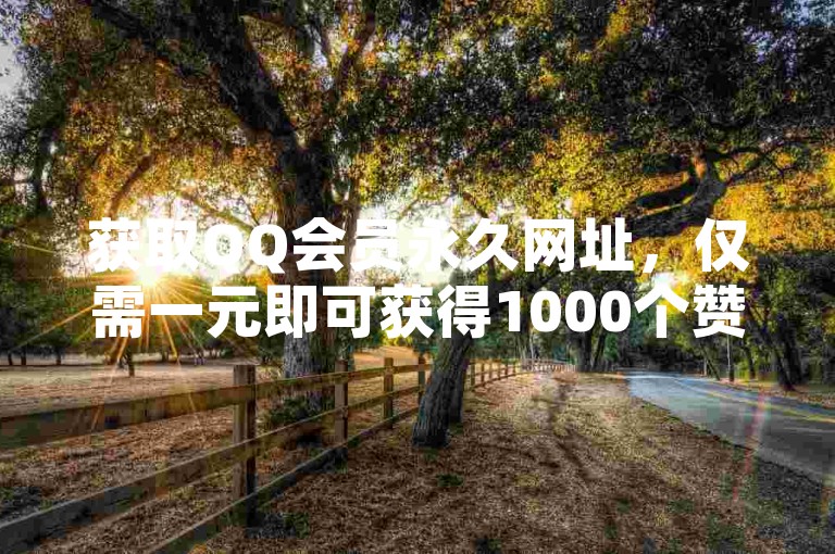 获取QQ会员永久网址，仅需一元即可获得1000个赞。