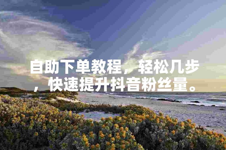 自助下单教程，轻松几步，快速提升抖音粉丝量。