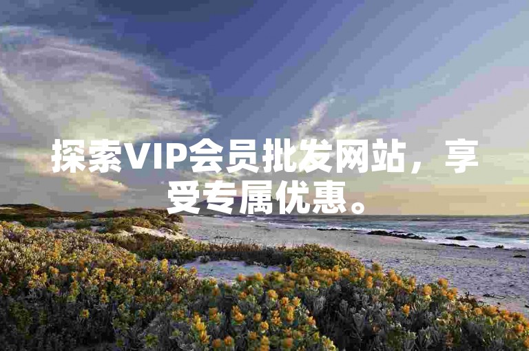 探索VIP会员批发网站，享受专属优惠。