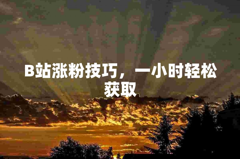 B站涨粉技巧，一小时轻松获取500真实粉丝。