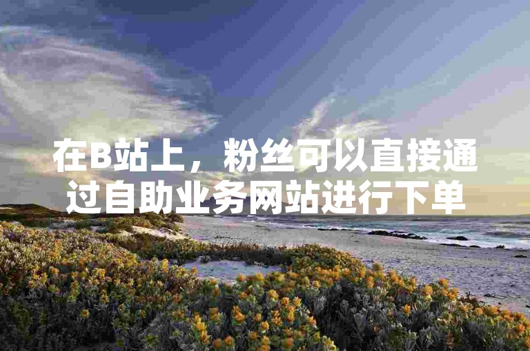 在B站上，粉丝可以直接通过自助业务网站进行下单。