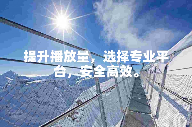 提升播放量，选择专业平台，安全高效。