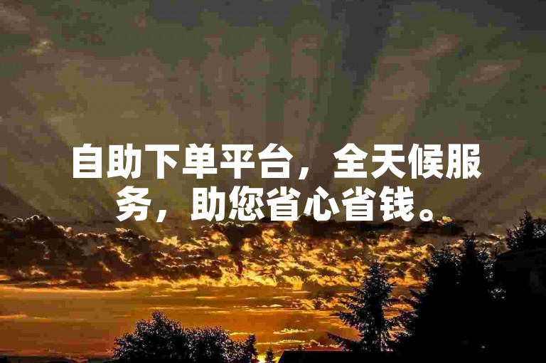 自助下单平台，全天候服务，助您省心省钱。