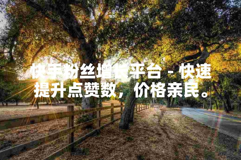 快手粉丝增长平台 - 快速提升点赞数，价格亲民。