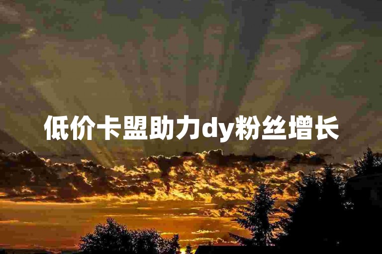 低价卡盟助力dy粉丝增长
