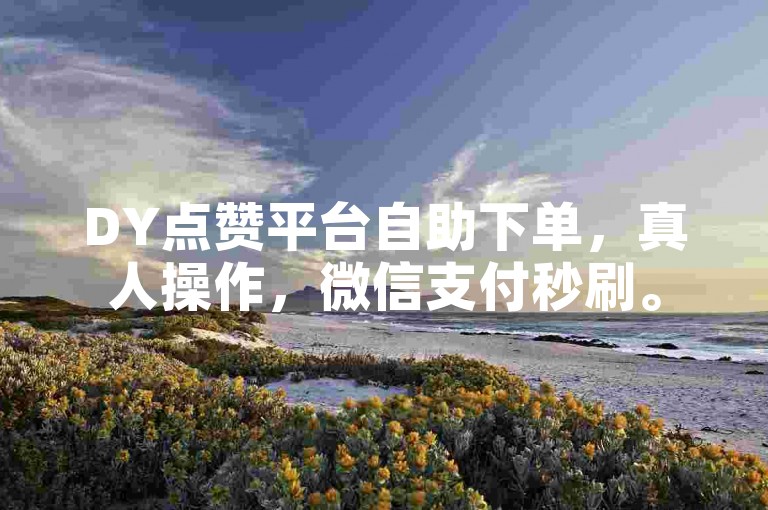 DY点赞平台自助下单，真人操作，微信支付秒刷。