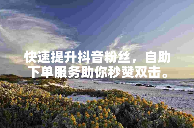 快速提升抖音粉丝，自助下单服务助你秒赞双击。