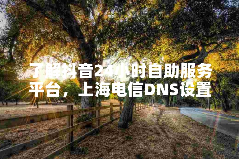 了解抖音24小时自助服务平台，上海电信DNS设置方法。