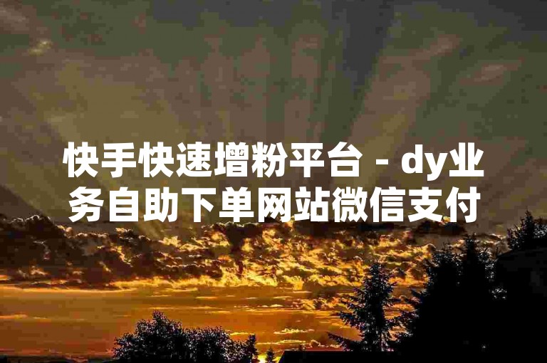 快手快速增粉平台 - dy业务自助下单网站微信支付