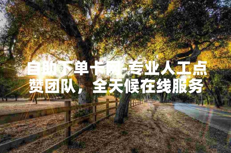 自助下单卡网-专业人工点赞团队，全天候在线服务。