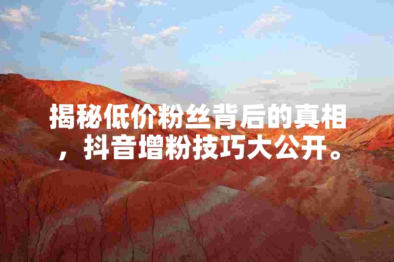 揭秘低价粉丝背后的真相，抖音增粉技巧大公开。