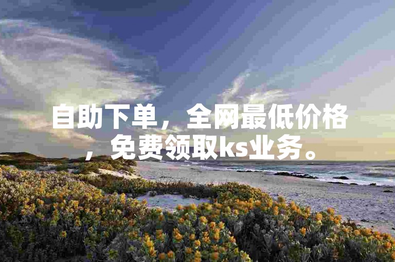 自助下单，全网最低价格，免费领取ks业务。