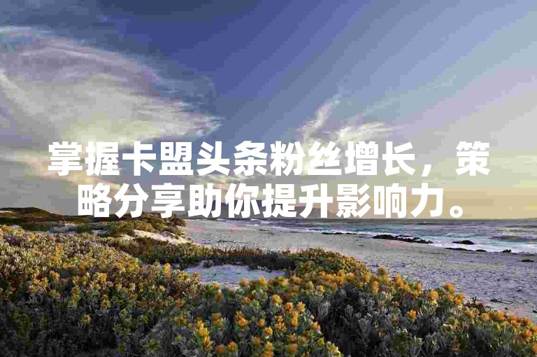 掌握卡盟头条粉丝增长，策略分享助你提升影响力。