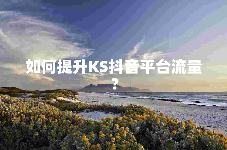 如何提升KS抖音平台流量？