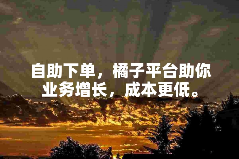 自助下单，橘子平台助你业务增长，成本更低。