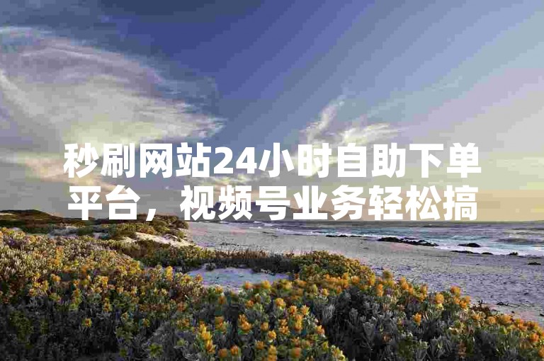 秒刷网站24小时自助下单平台，视频号业务轻松搞定。