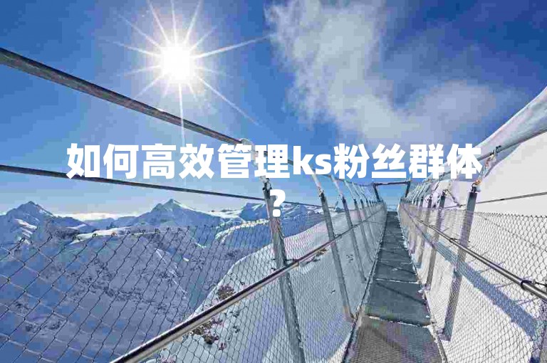 如何高效管理ks粉丝群体？