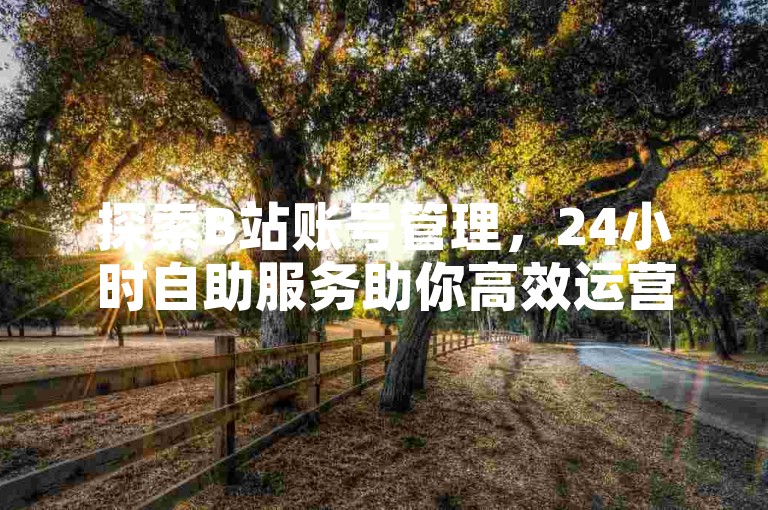 探索B站账号管理，24小时自助服务助你高效运营。