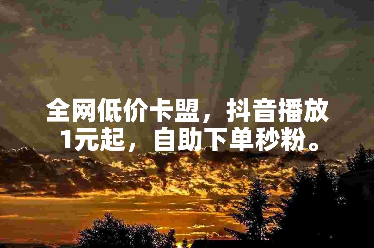 全网低价卡盟，抖音播放1元起，自助下单秒粉。
