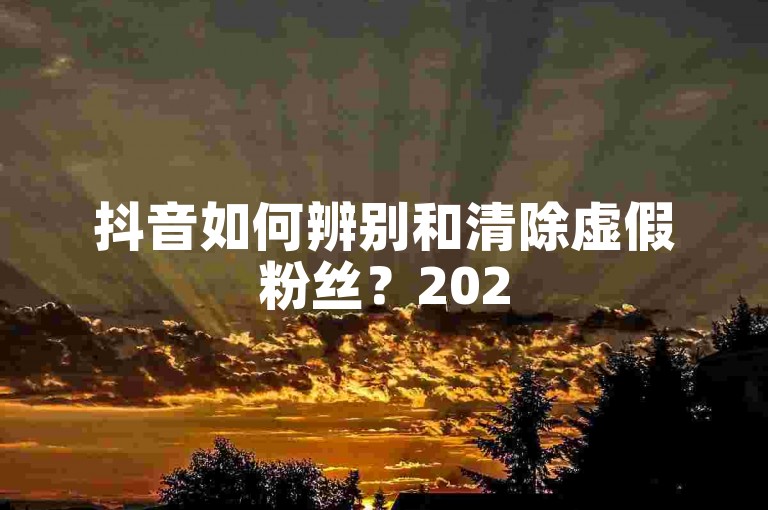 抖音如何辨别和清除虚假粉丝？2025年必备技巧。