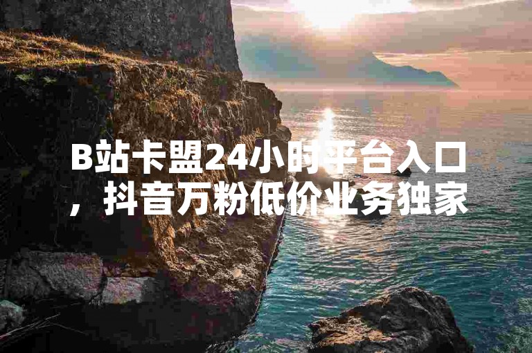 B站卡盟24小时平台入口，抖音万粉低价业务独家推荐。