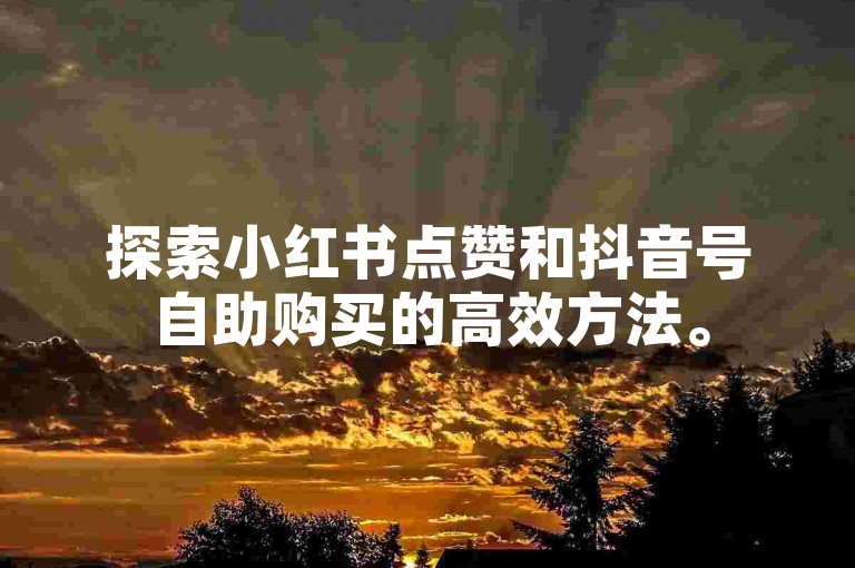 探索小红书点赞和抖音号自助购买的高效方法。