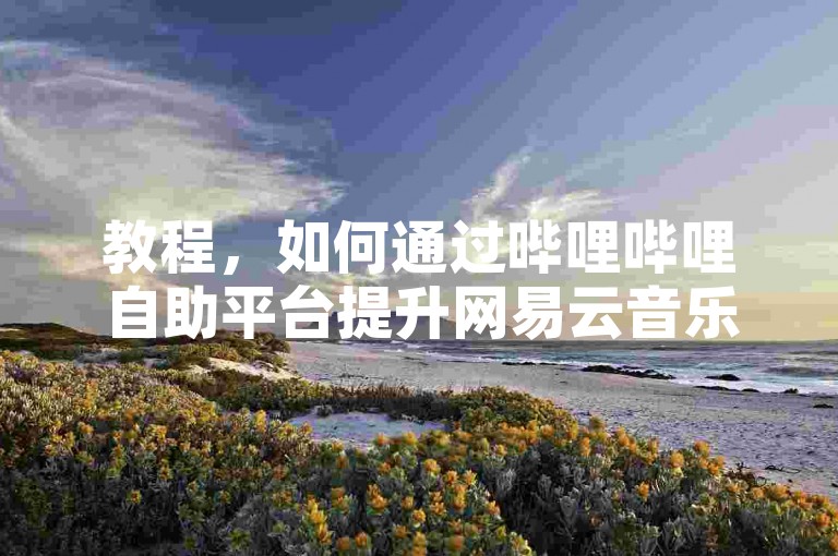 教程，如何通过哔哩哔哩自助平台提升网易云音乐播放量。