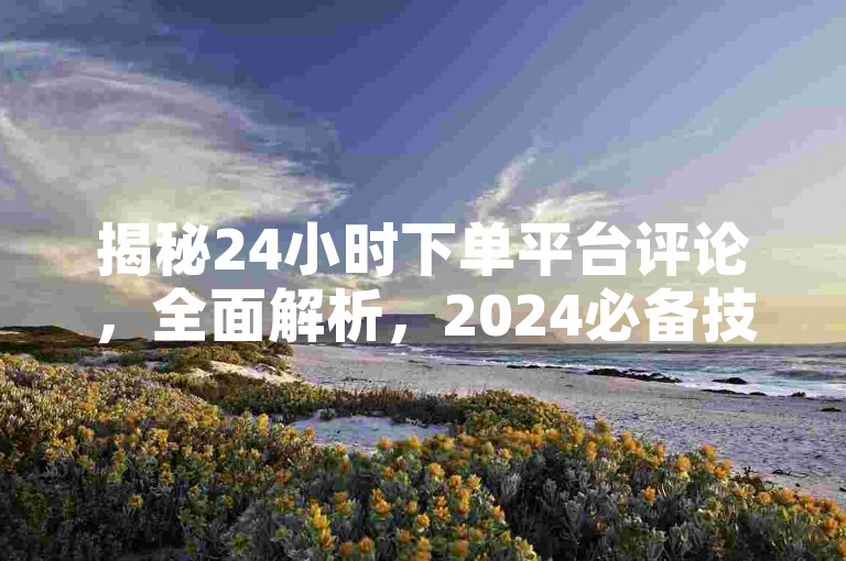 揭秘24小时下单平台评论，全面解析，2024必备技能！