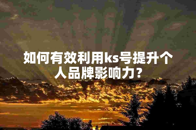 如何有效利用ks号提升个人品牌影响力？
