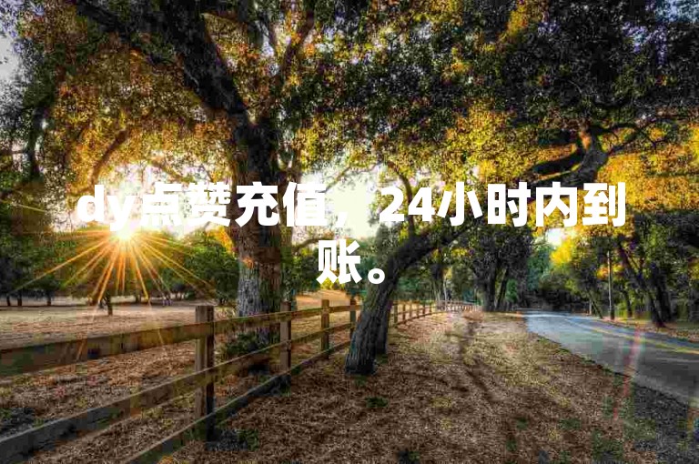 dy点赞充值，24小时内到账。