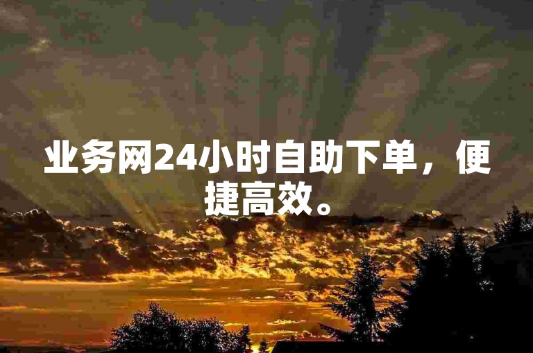 业务网24小时自助下单，便捷高效。