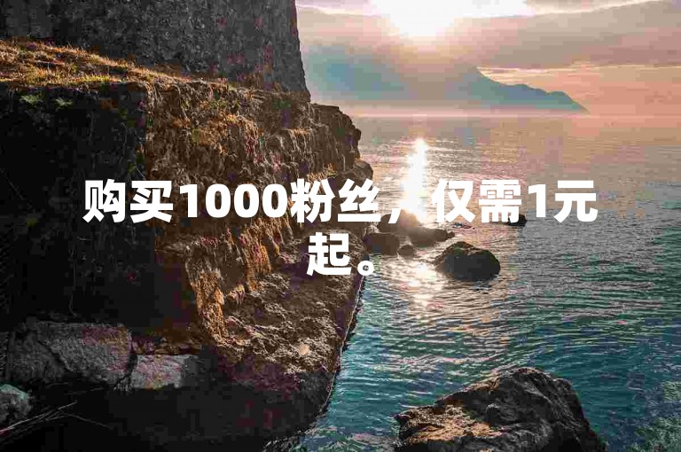 购买1000粉丝，仅需1元起。