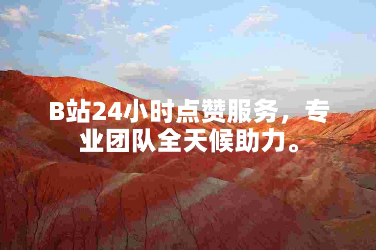 B站24小时点赞服务，专业团队全天候助力。