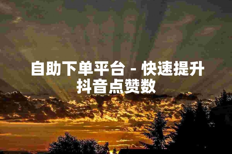 自助下单平台 - 快速提升抖音点赞数