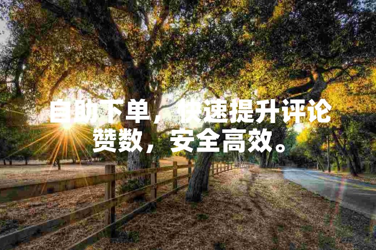 自助下单，快速提升评论赞数，安全高效。