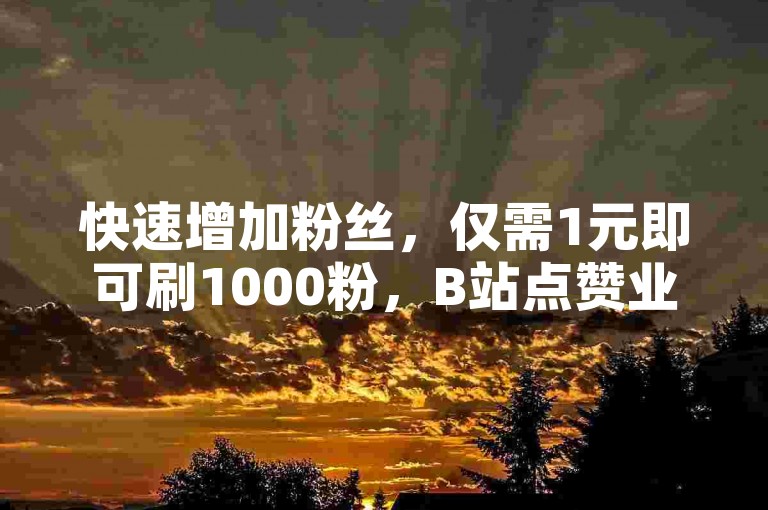 快速增加粉丝，仅需1元即可刷1000粉，B站点赞业务低至0.5元100赞。