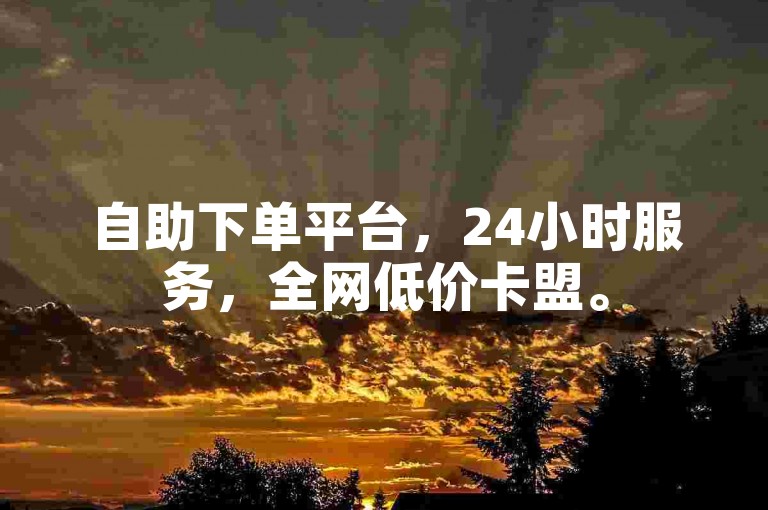 自助下单平台，24小时服务，全网低价卡盟。